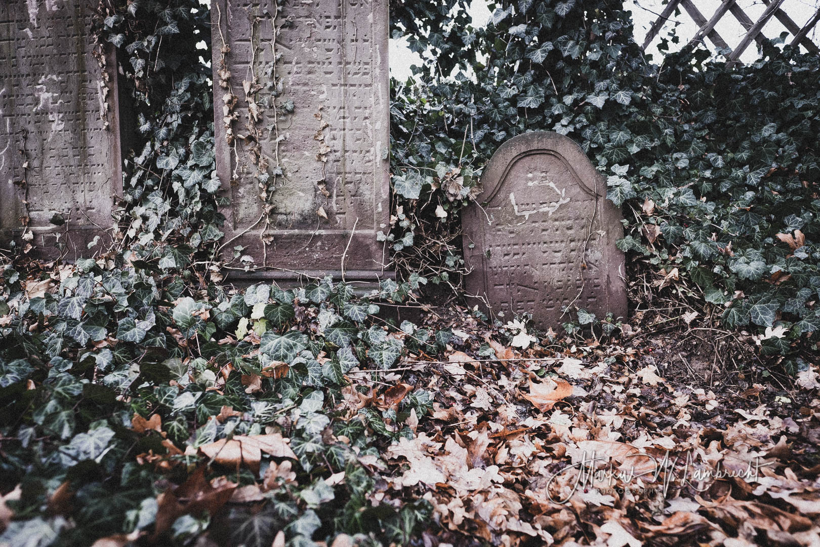 Dassel, Jüdischer Friedhof
